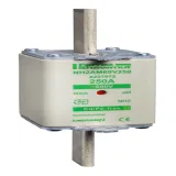 ПРЕДОХРАНИТЕЛЬ ТИП GG,РАЗМЕР 800А